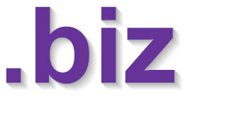 .biz Domaingebühr