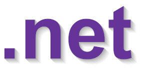 .net Domaingebühr